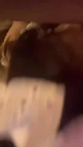 女仆的魅力谁能懂