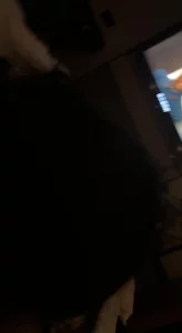 连云港跑来的小母狗