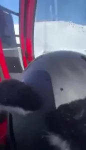 小绿和小黄